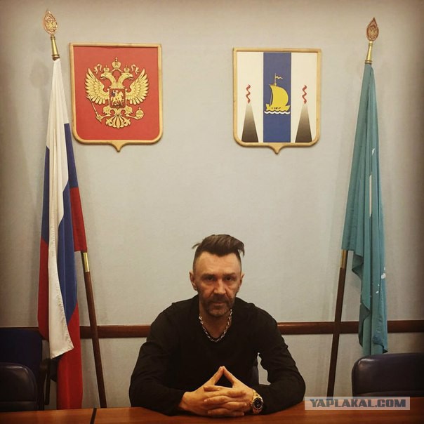 Рациональное предложение от Шнура