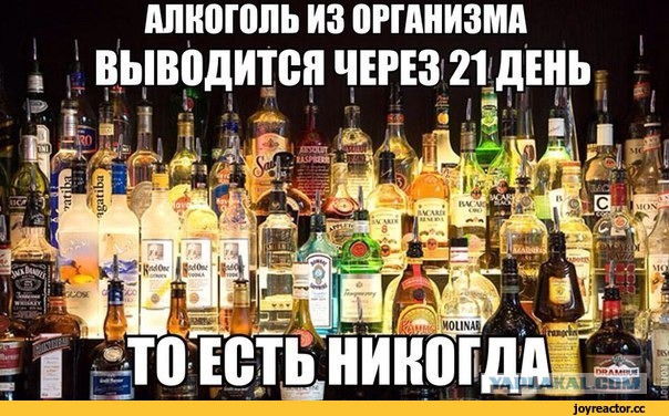 Ужас просто