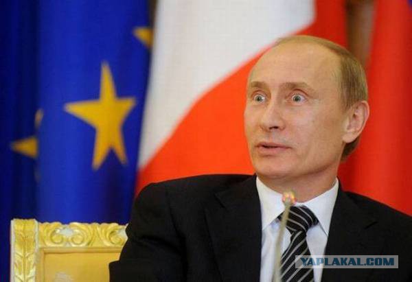 Они вернулись на родину. Операция «Небесная сеть 2017»
