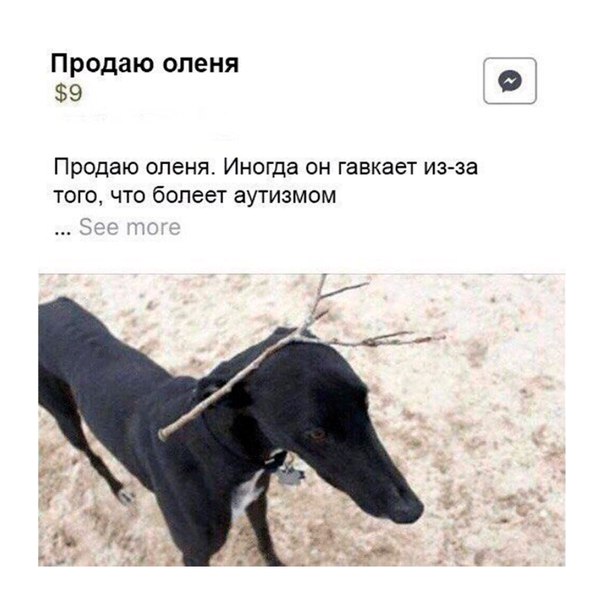 Ударная доза тупежа и лёгкой наркомании к выходным