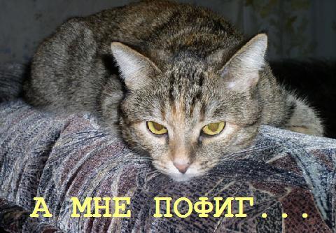 
Картинка Пофиг Все Переживем