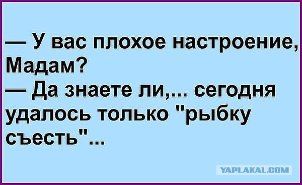 Смешные комментарии из социальных сетей 14.09.2018
