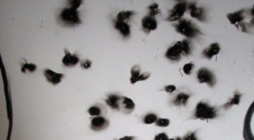 Кто-то додумался устроить шоу с пиротехникой на детском утреннике
