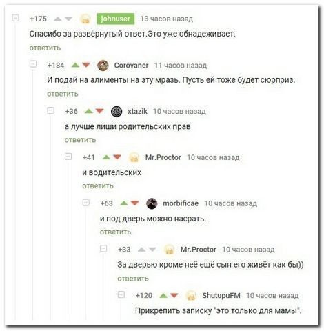 стырнета