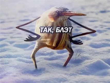Прелести жизни разведенки