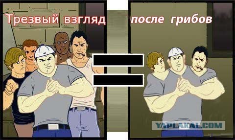 В пятницу - до и после! (7 картинок)