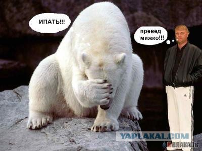 Фотожаба: Свидетель из Фрязино