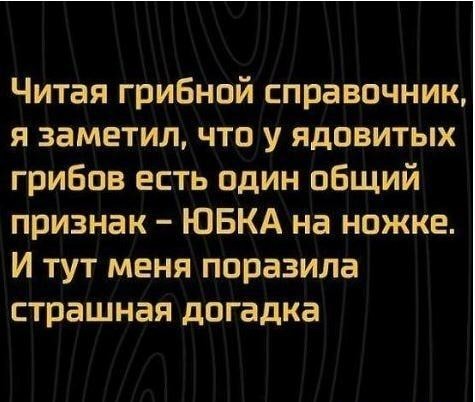 Почему умные мужчины избегают ЗАГСа