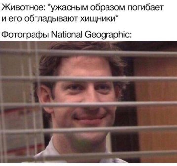 Юмор в картинках 22.08.20
