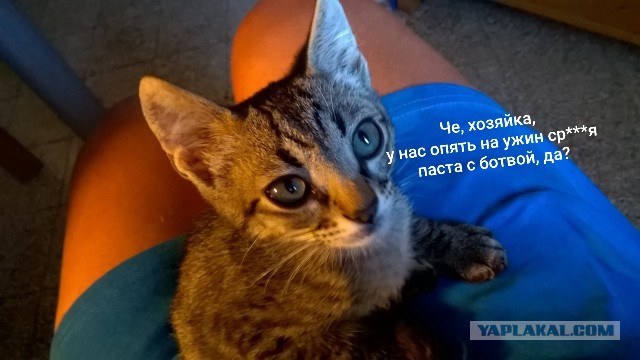 Икра заморская сицилийская