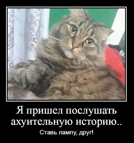 Что происходит с мужчиной, который попал в семью РСП