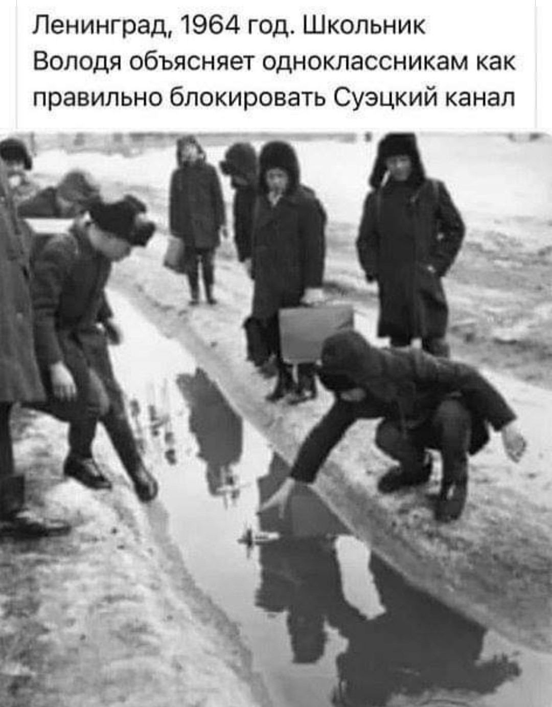 https://s00.yaplakal.com/pics/pics_original/1/1/3/15413311.jpg