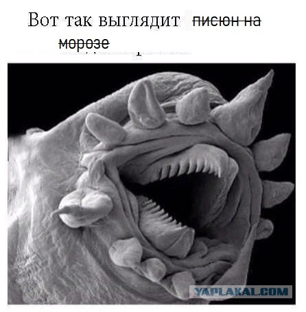 Так себе картинки 20.05.21