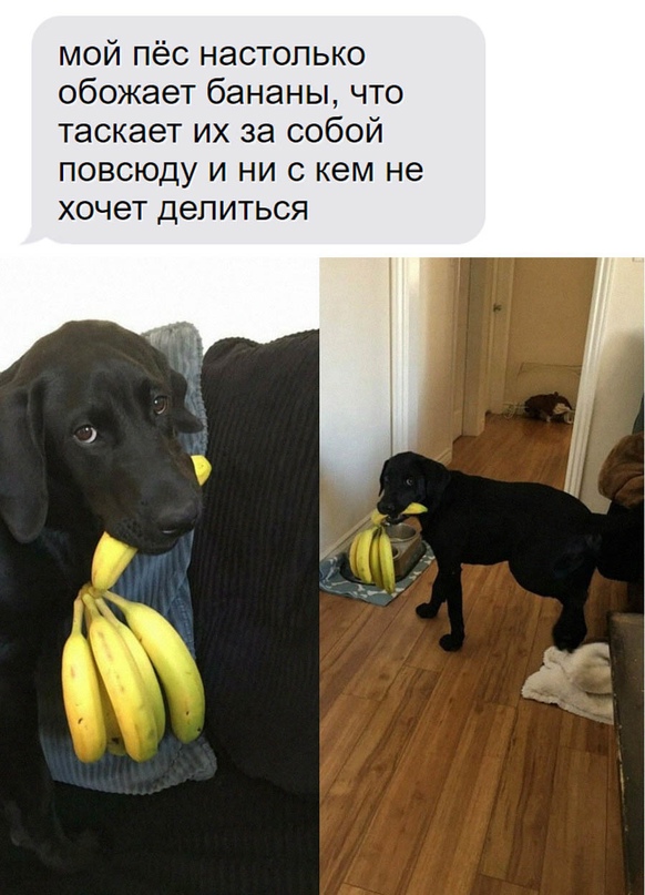 Немного картинок для настроения - 117