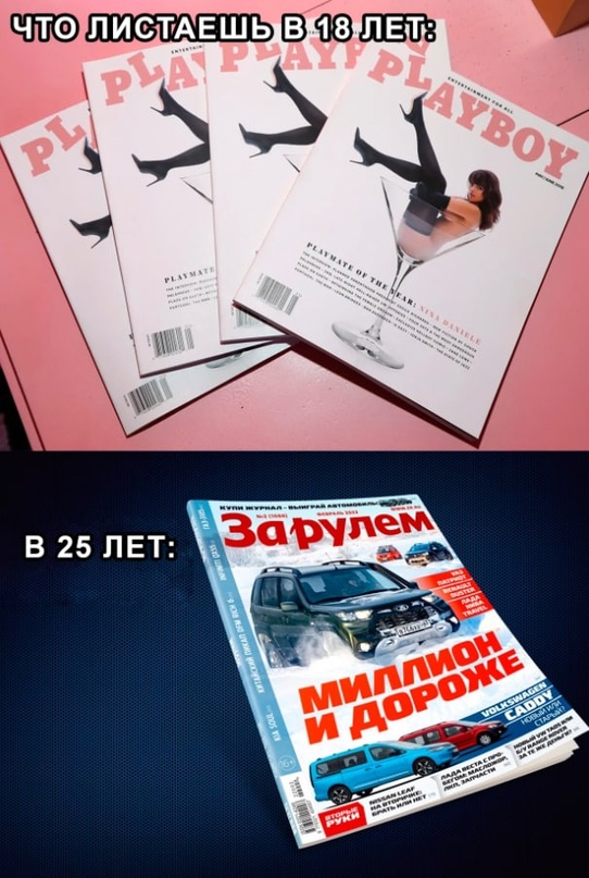 Весёлый полтишок 26.12.2022