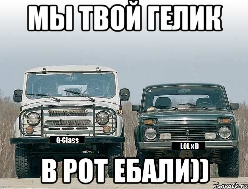 Нивасик
