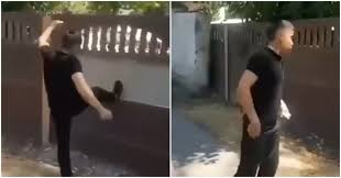 Оригинальное ограждение