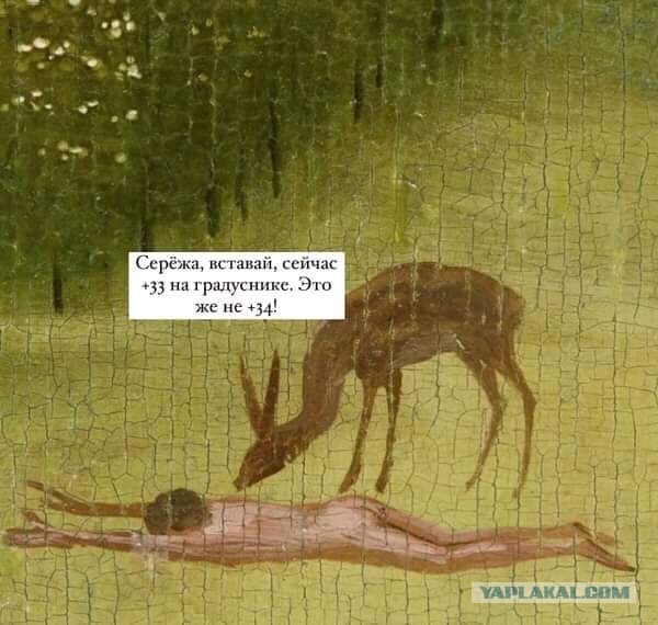 Чуток картинок 25.05.23