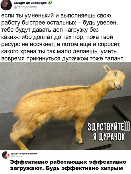 Правда жизни