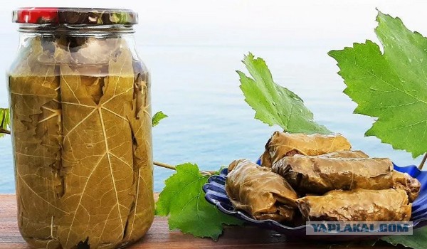 Голубцы всякие-разные