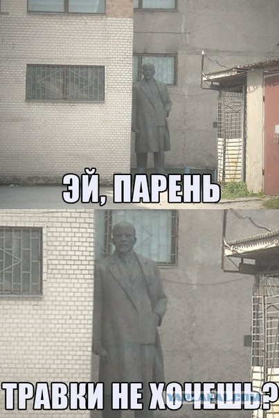 наркодилер