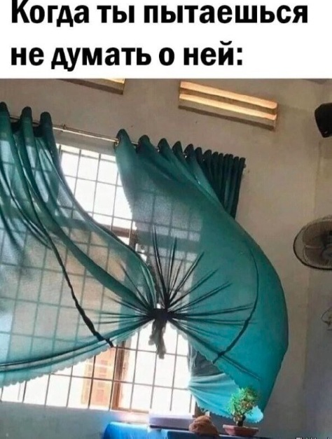 Так себе картинки 28.05.24