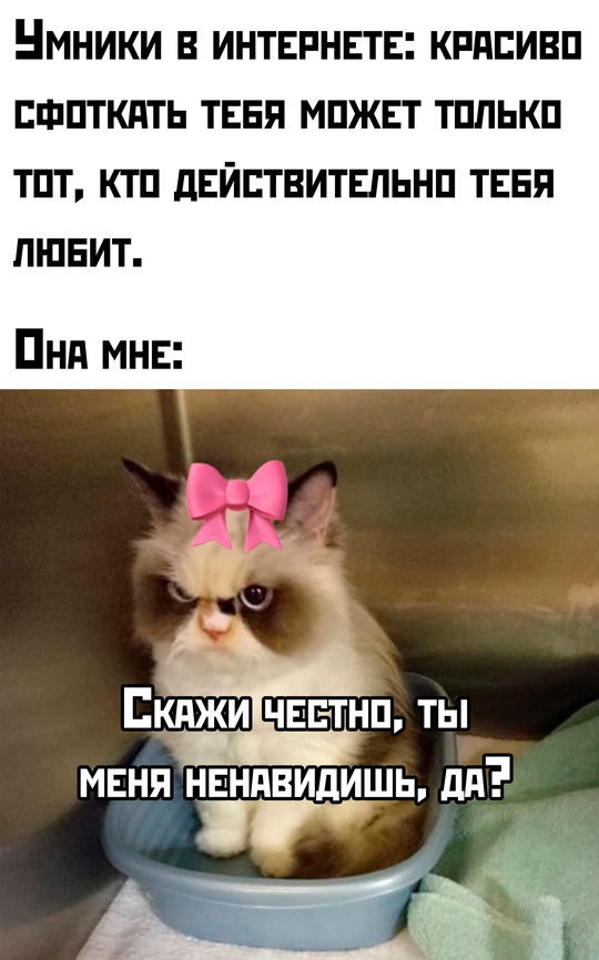 Весёлый полтишок 13.03.25