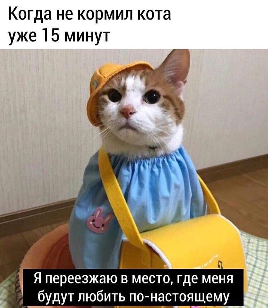 20116311.jpg