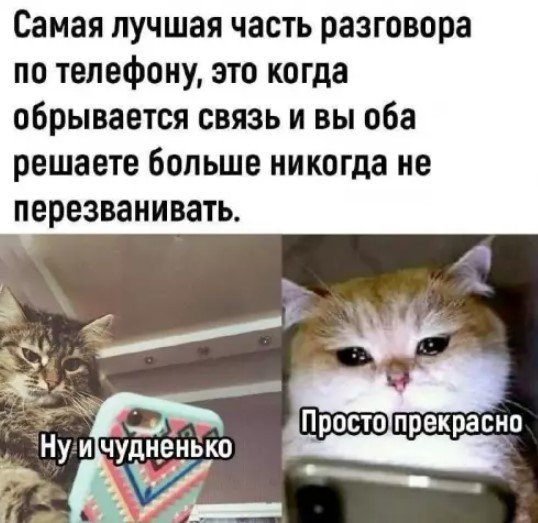 Картиночки, баянчики 04 апреля