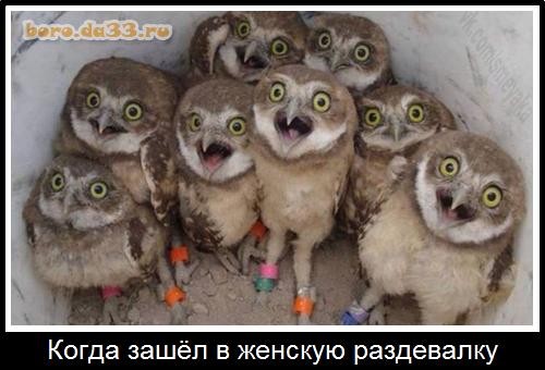 тРРРидцать тРРРи от 22 октября