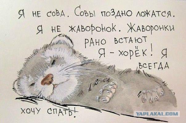 Чёрт, чёрт, чёрт!