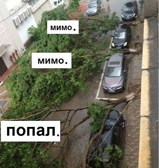 Смешные картинки из соц. сетей.