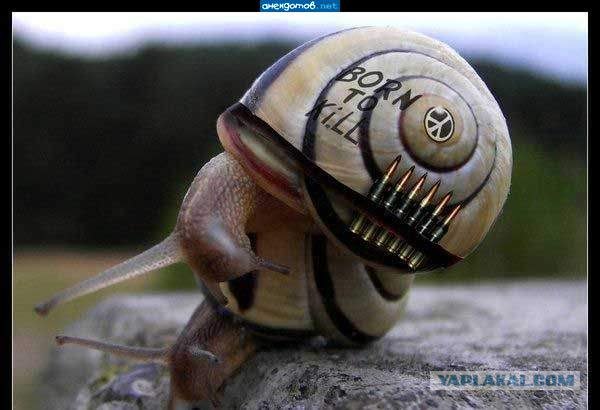 У каждого своя смерть...