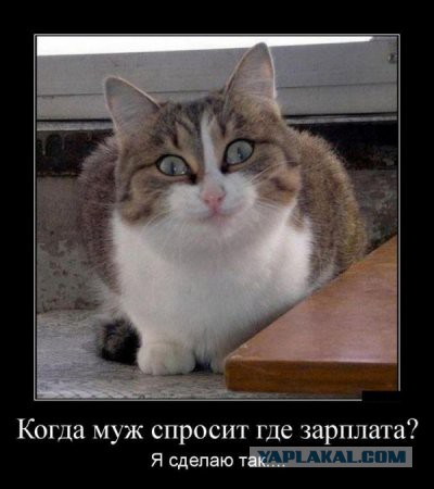 Картинки с инета.