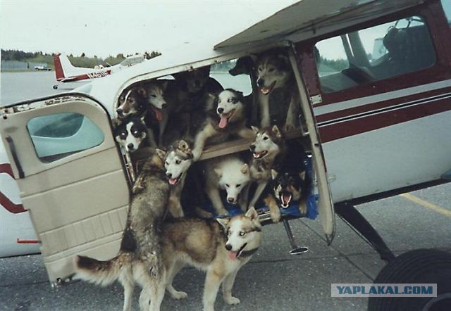 В отпуск
