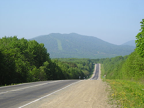 Дикари