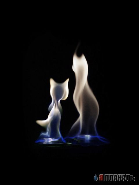 Красивые фото, картинки, позитив