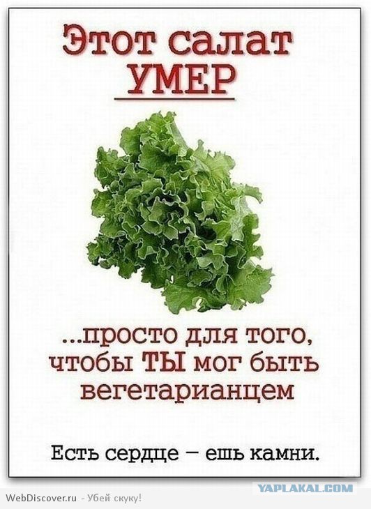 Веганы против мясоедов