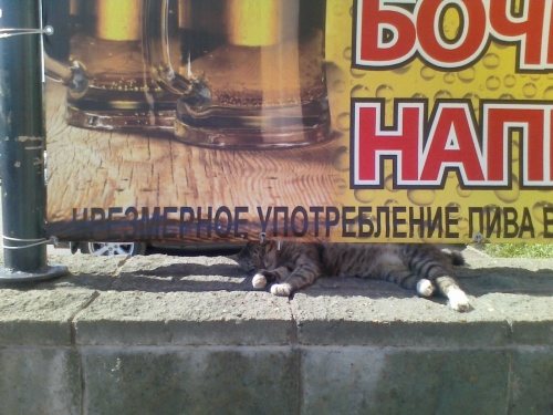 Скотинки - Животинки