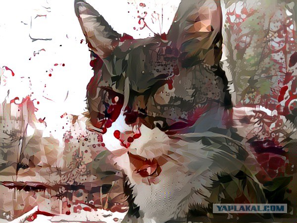 Приют для бездомных животных "Убежище"