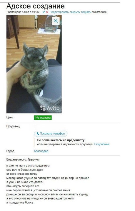 Подборка прикольных фото