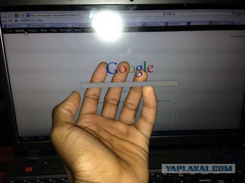 Картинки и приколы из сети