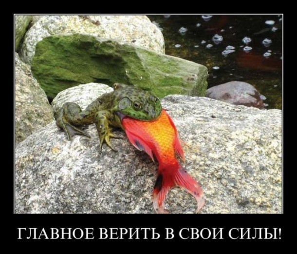 В любом деле главное - это вера в собственные силы