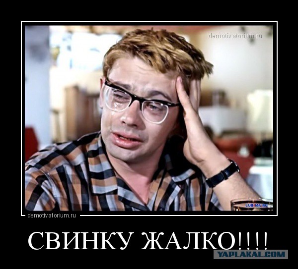 Венгр разбирает хрюнделятора на запчасти