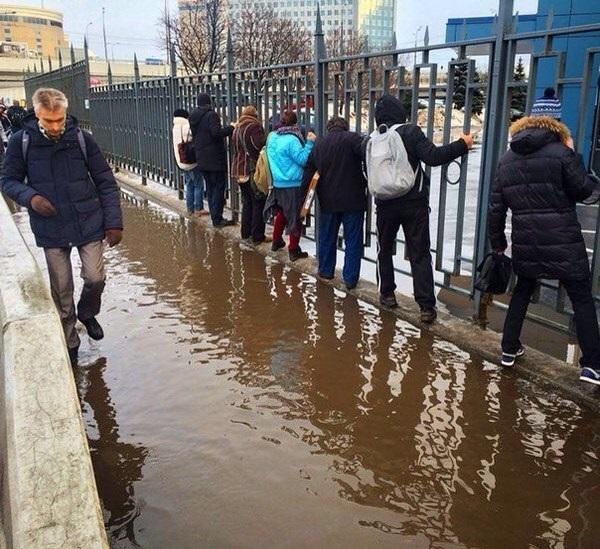 Соцсети - и смех и грех