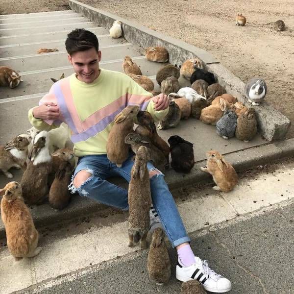 Самые смешные животные