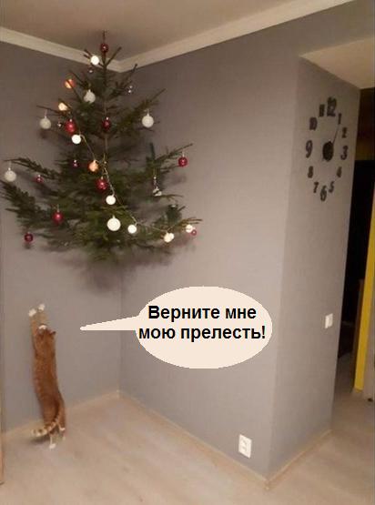 Прикольных котов пост