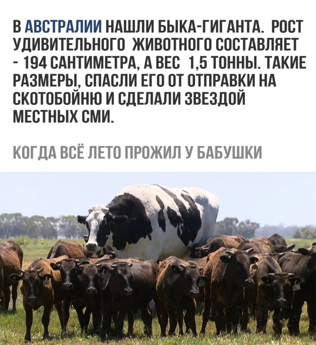 Чуть этих соцсетей