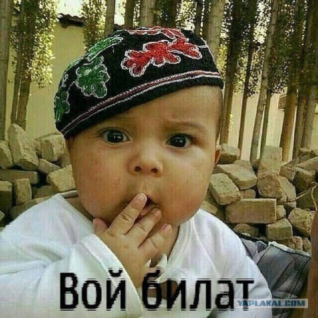 Девушки на месяц отказались от бритья и похвастались результатами