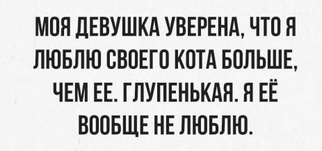 Анекдоты, соц-сети, истории и картинки с надписями